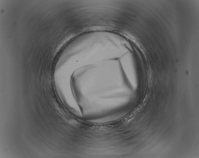 X0000072940297200608181348