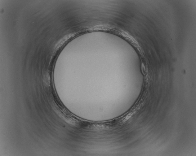 X0000072940298200608181348