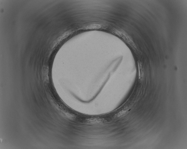 X0000072940300200608181348