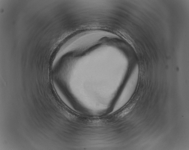 X0000072940301200608181348