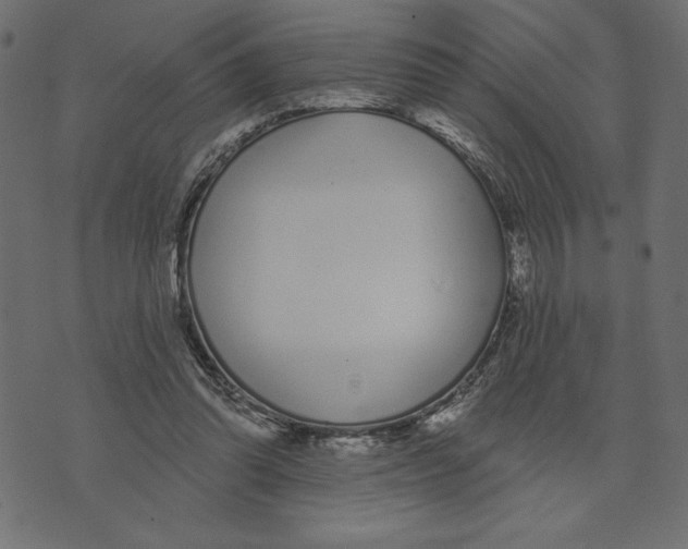 X0000072940302200608181348