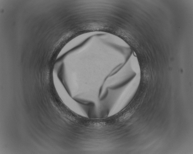 X0000072940304200608181348