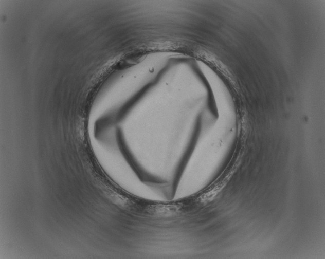 X0000072940305200608181348