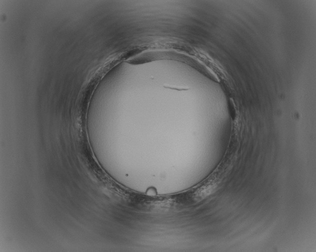 X0000072940306200608181348