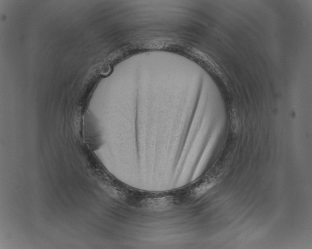 X0000072940307200608181348