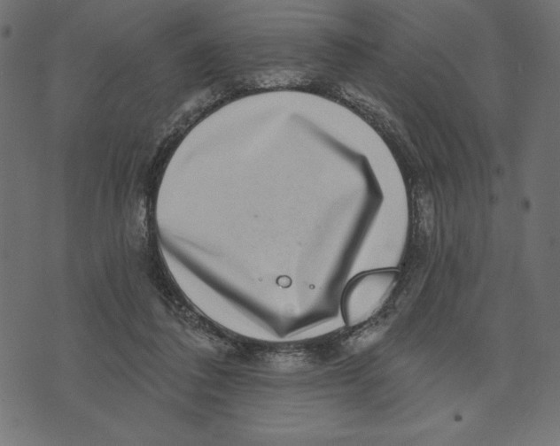 X0000072940308200608181348