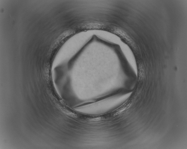 X0000072940309200608181348