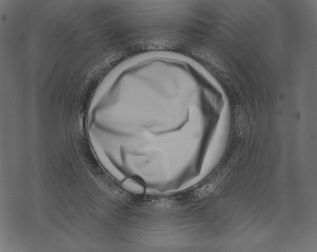 X0000072940310200608181348