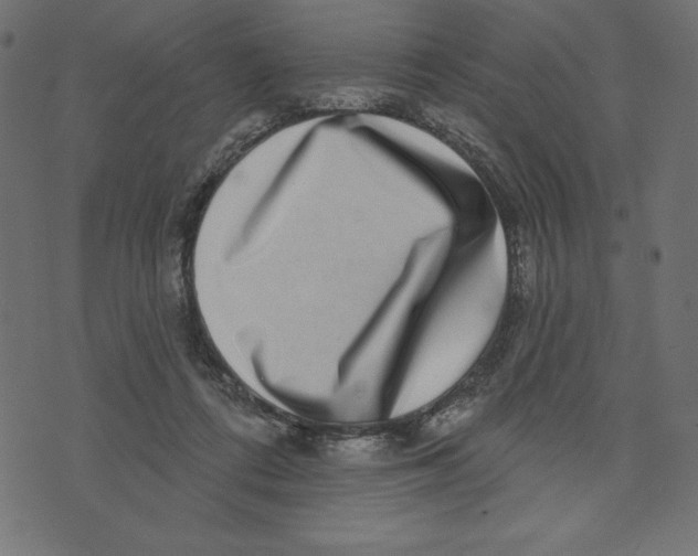 X0000072940312200608181347