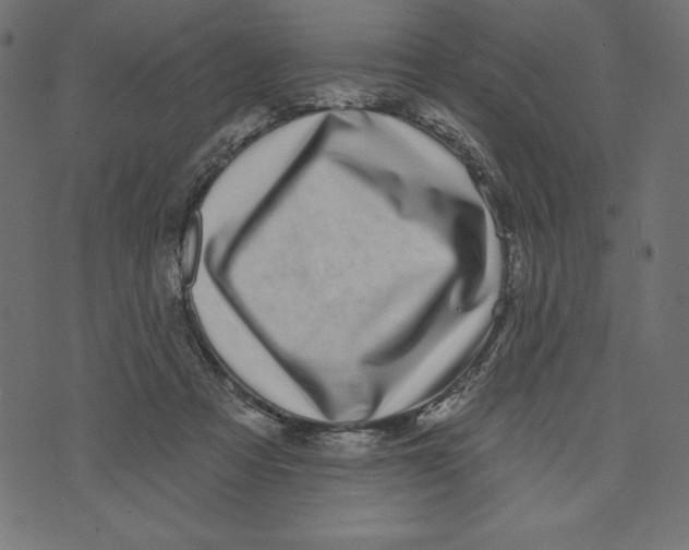 X0000072940313200608181347