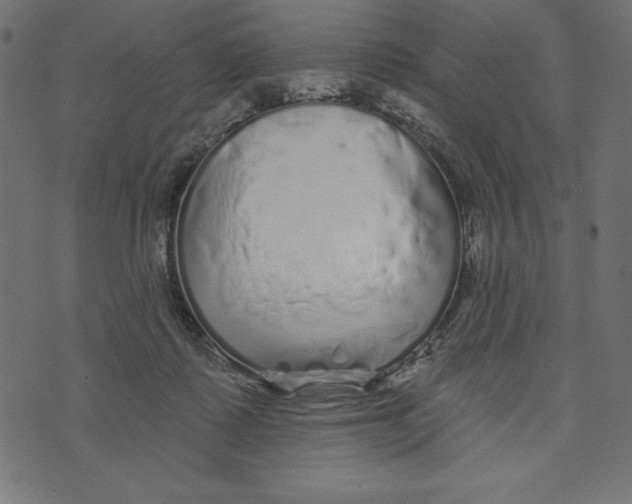 X0000072940315200608181347