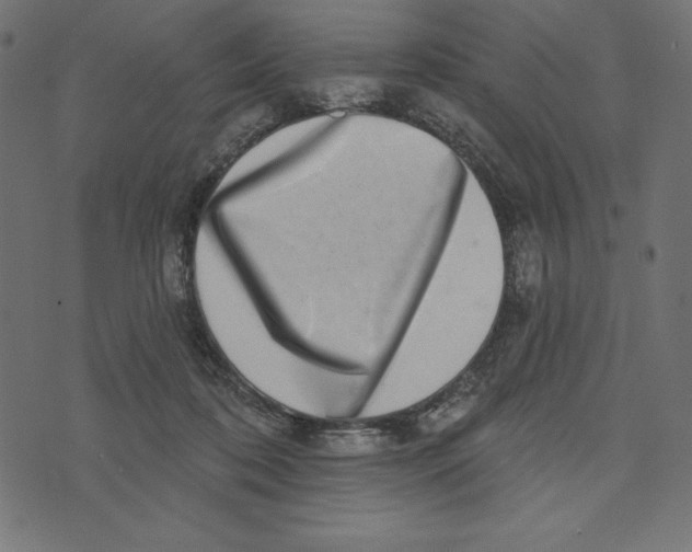 X0000072940316200608181347