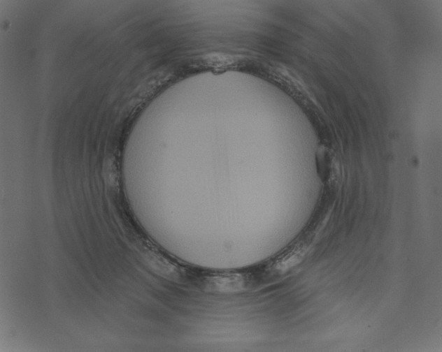 X0000072940317200608181347