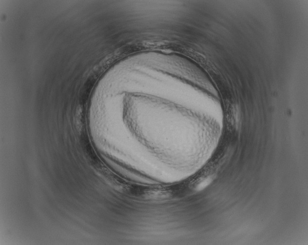 X0000072940319200608181347