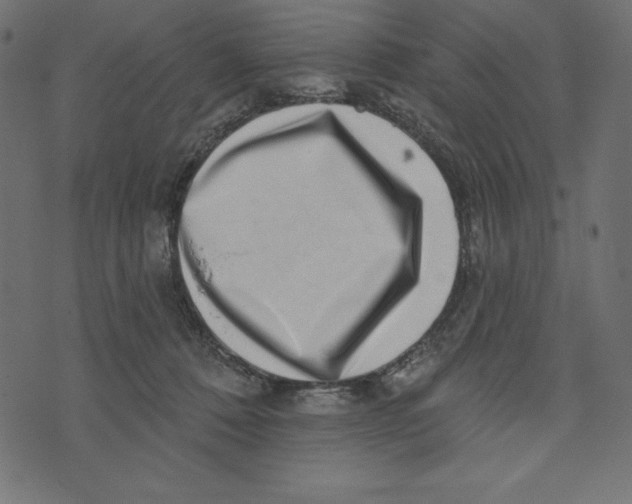 X0000072940320200608181347