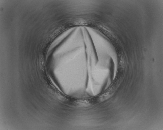 X0000072940322200608181347