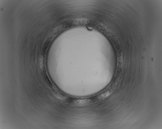 X0000072940323200608181347