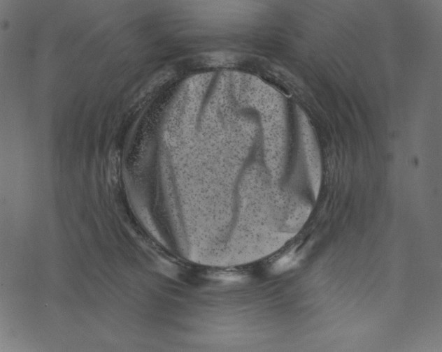 X0000072940325200608181347