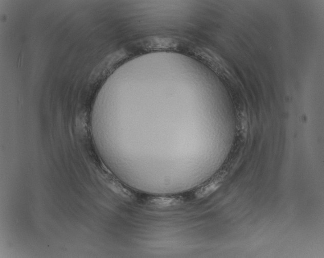 X0000072940326200608181347