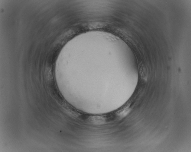 X0000072940327200608181347