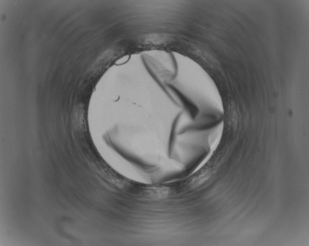 X0000072940328200608181347