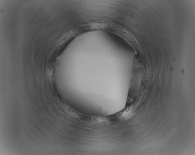 X0000072940329200608181347