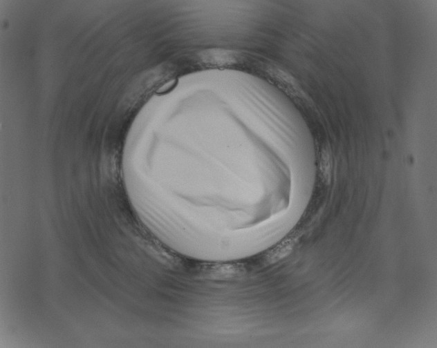 X0000072940330200608181347