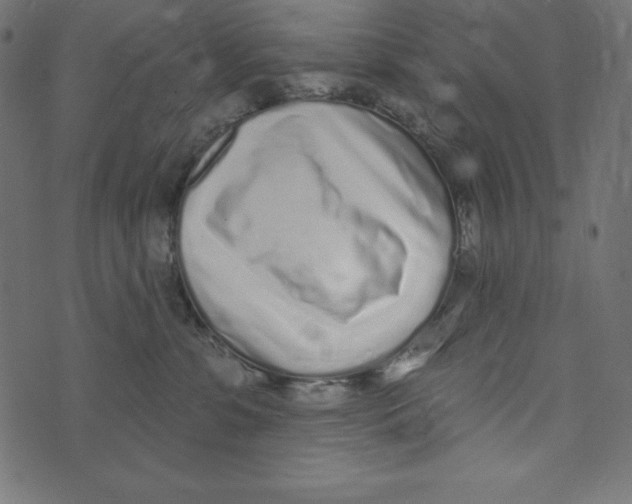 X0000072940331200608181347