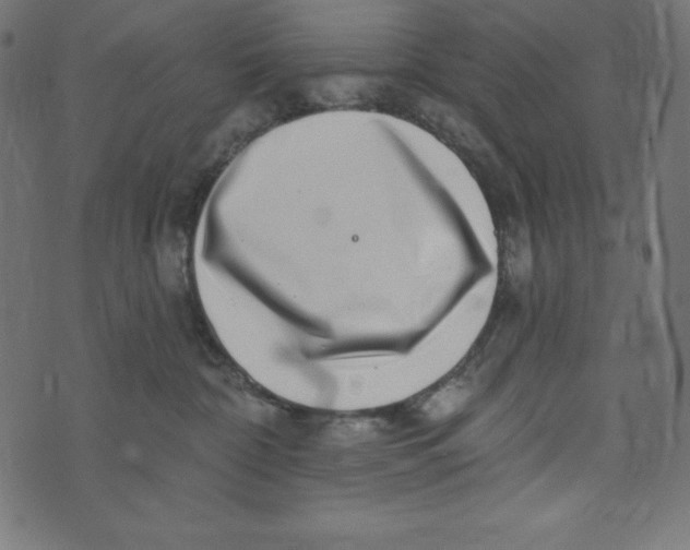 X0000072940332200608181347