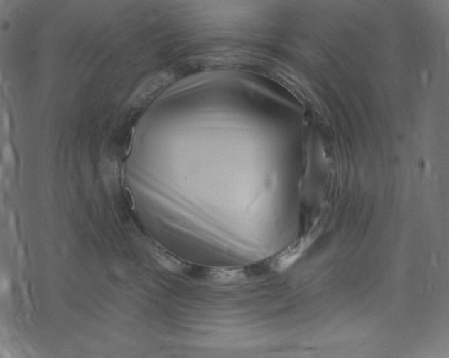 X0000072940333200608181347