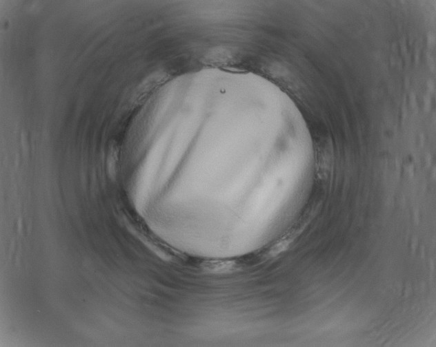 X0000072940334200608181347