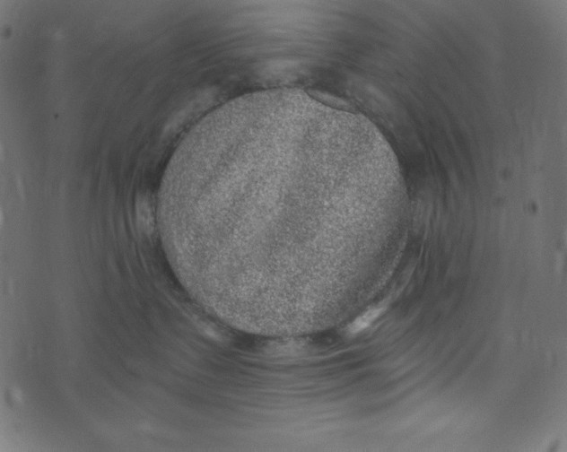 X0000072940335200608181347