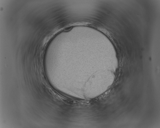 X0000072940337200608181346