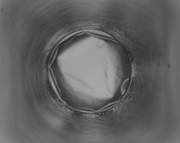 X0000072940339200608181346