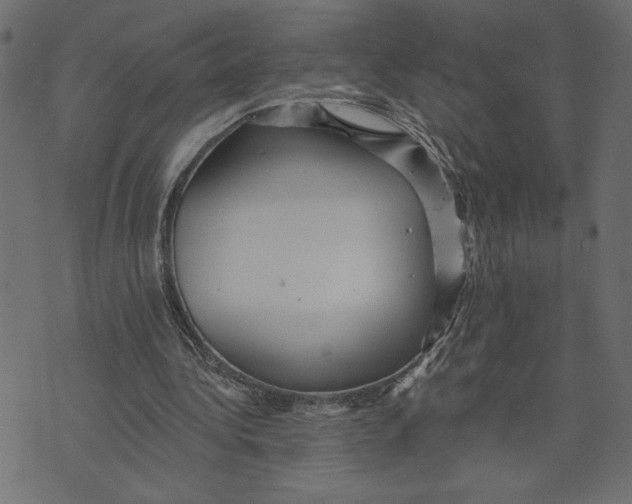 X0000072940340200608181346