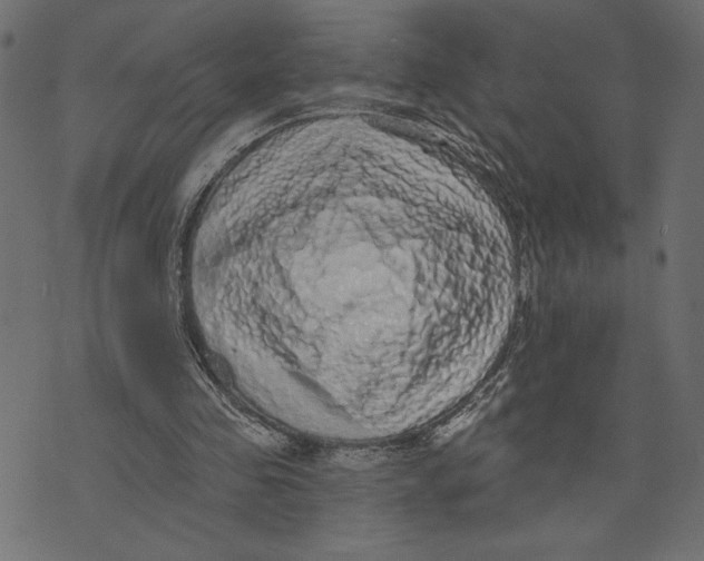 X0000072940341200608181346