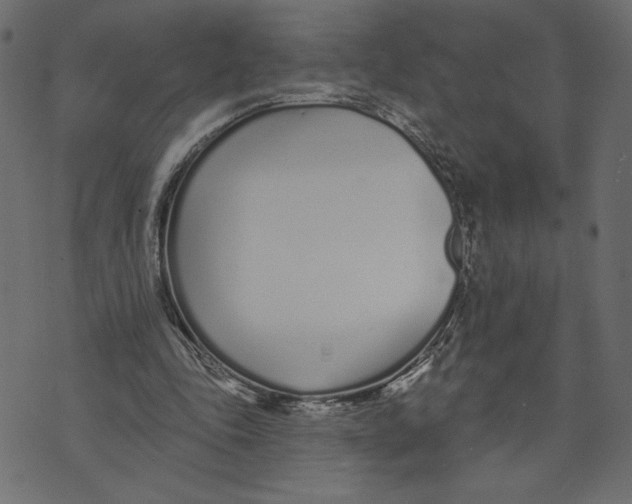 X0000072940343200608181346