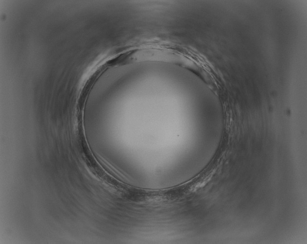 X0000072940344200608181346