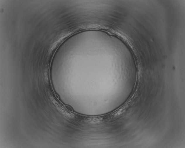 X0000072940345200608181346