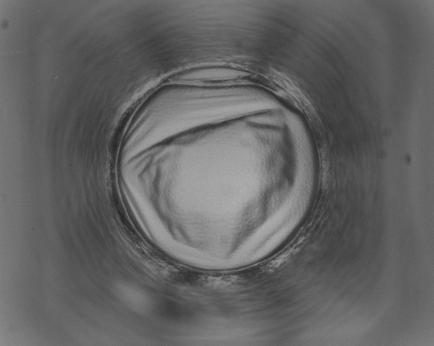 X0000072940346200608181346