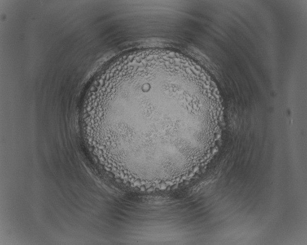 X0000072940347200608181346