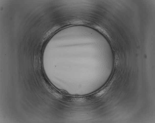 X0000072940349200608181347