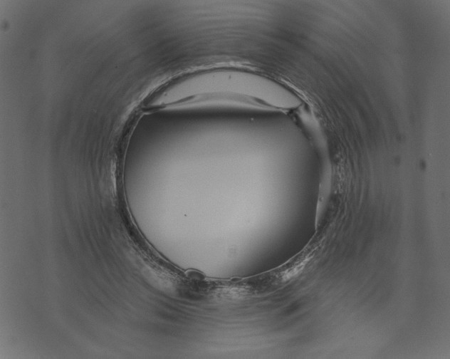 X0000072940350200608181347