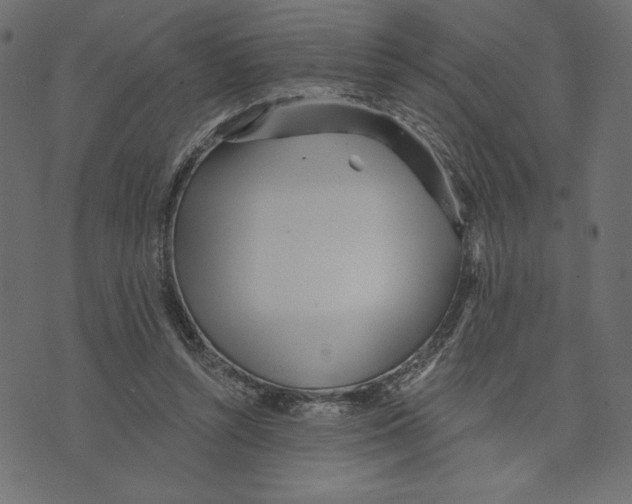 X0000072940352200608181347