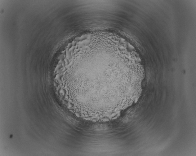 X0000072940353200608181347