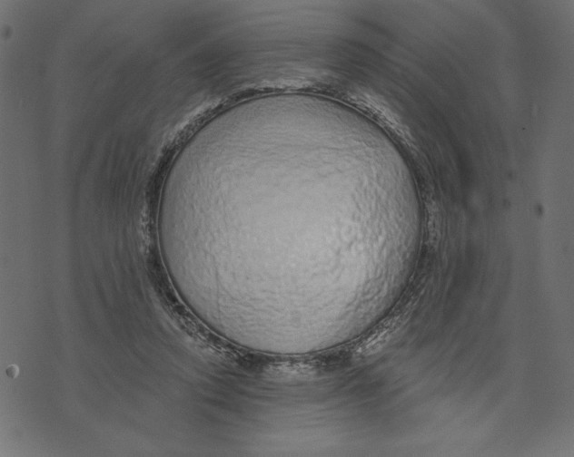 X0000072940354200608181347