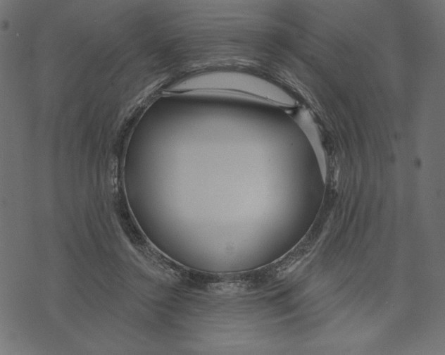 X0000072940356200608181347