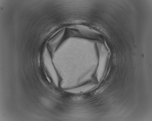 X0000072940358200608181347