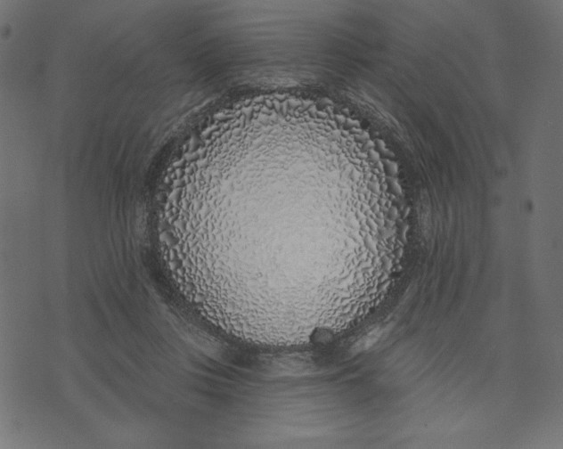 X0000072940359200608181347