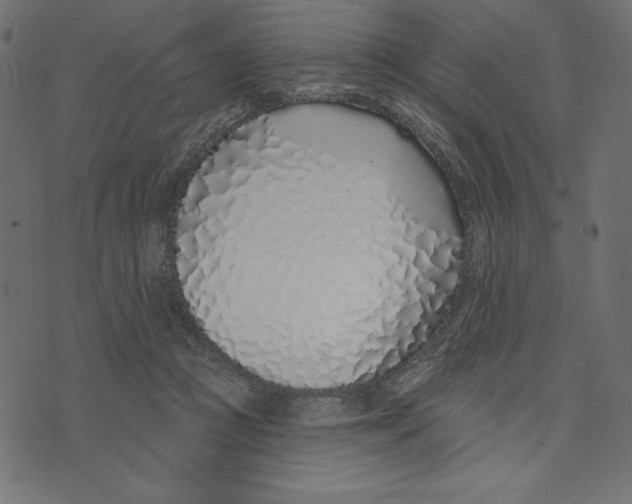 X0000072940361200608181347